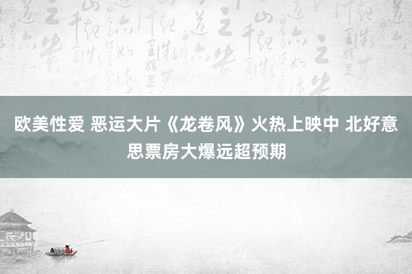 欧美性爱 恶运大片《龙卷风》火热上映中 北好意思票房大爆远超预期