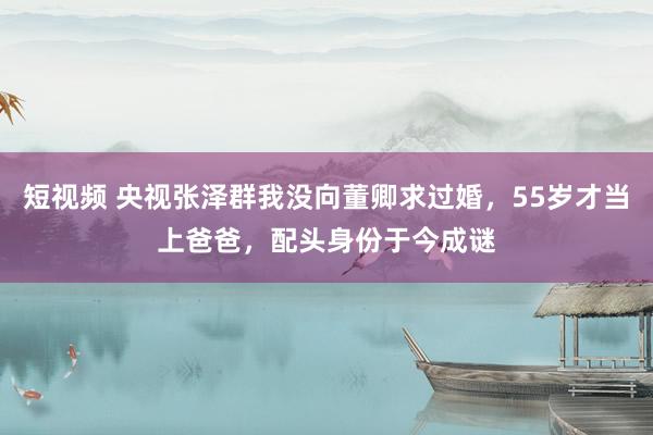 短视频 央视张泽群我没向董卿求过婚，55岁才当上爸爸，配头身份于今成谜