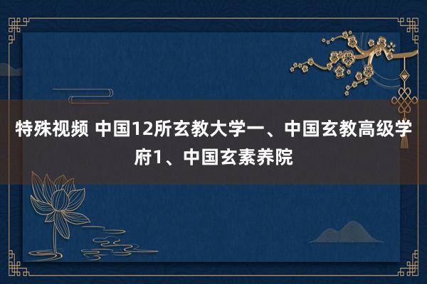 特殊视频 中国12所玄教大学一、中国玄教高级学府1、中国玄素养院