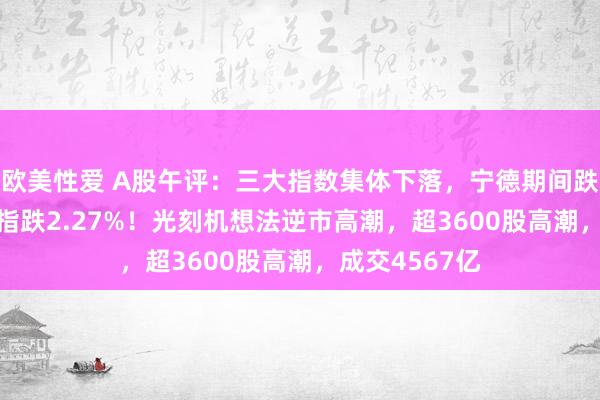 欧美性爱 A股午评：三大指数集体下落，宁德期间跌6.7%创业板指跌2.27%！光刻机想法逆市高潮，超3600股高潮，成交4567亿