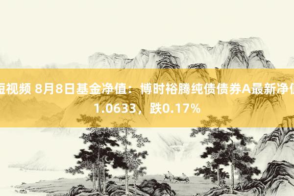 短视频 8月8日基金净值：博时裕腾纯债债券A最新净值1.0633，跌0.17%