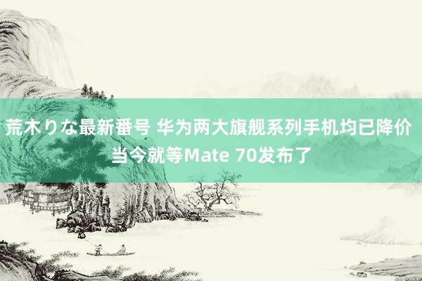 荒木りな最新番号 华为两大旗舰系列手机均已降价 当今就等Mate 70发布了