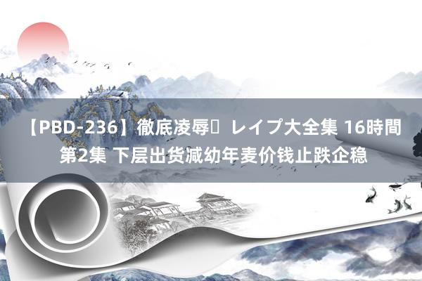 【PBD-236】徹底凌辱・レイプ大全集 16時間 第2集 下层出货减幼年麦价钱止跌企稳