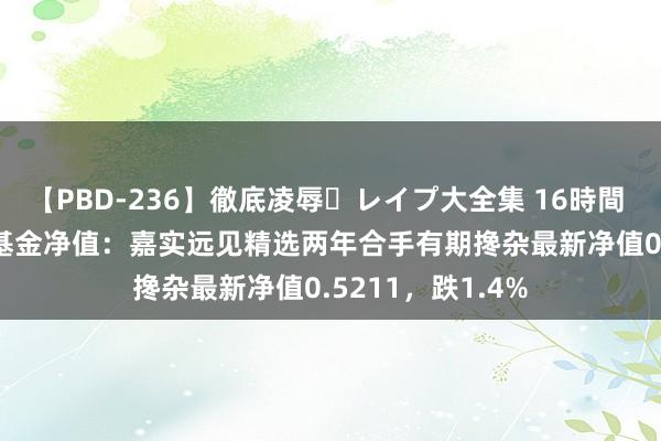 【PBD-236】徹底凌辱・レイプ大全集 16時間 第2集 8月20日基金净值：嘉实远见精选两年合手有期搀杂最新净值0.5211，跌1.4%