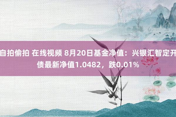 自拍偷拍 在线视频 8月20日基金净值：兴银汇智定开债最新净值1.0482，跌0.01%