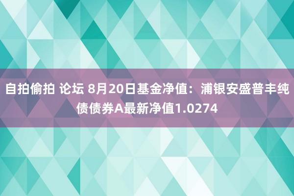 自拍偷拍 论坛 8月20日基金净值：浦银安盛普丰纯债债券A最新净值1.0274