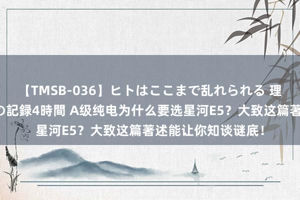 【TMSB-036】ヒトはここまで乱れられる 理性崩壊と豪快絶頂の記録4時間 A级纯电为什么要选星河E5？大致这篇著述能让你知谈谜底！