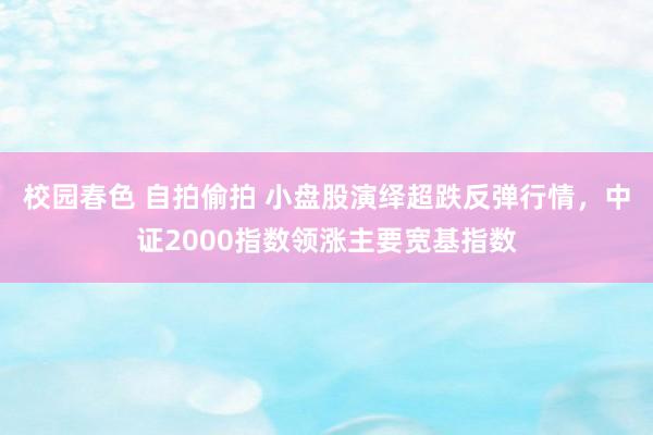 校园春色 自拍偷拍 小盘股演绎超跌反弹行情，中证2000指数领涨主要宽基指数