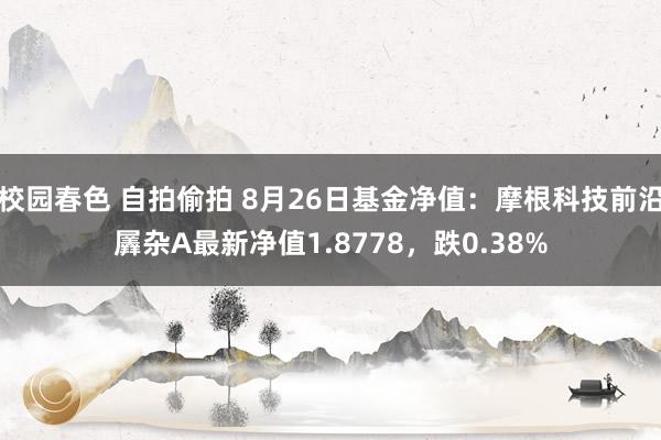 校园春色 自拍偷拍 8月26日基金净值：摩根科技前沿羼杂A最新净值1.8778，跌0.38%