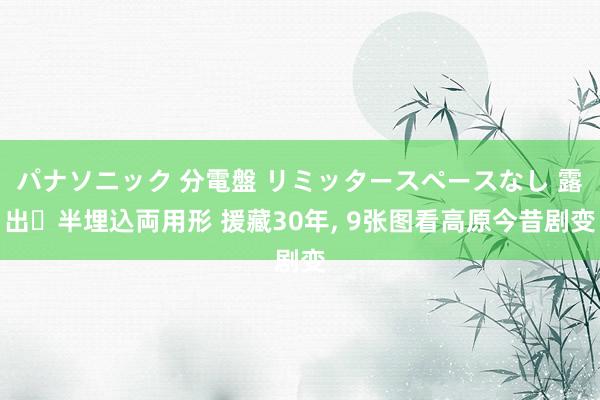 パナソニック 分電盤 リミッタースペースなし 露出・半埋込両用形 援藏30年, 9张图看高原今昔剧变