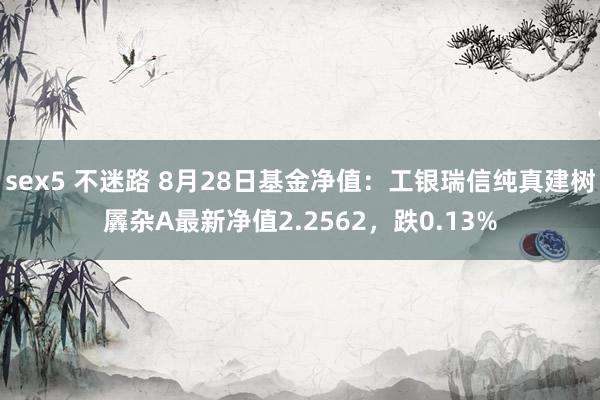 sex5 不迷路 8月28日基金净值：工银瑞信纯真建树羼杂A最新净值2.2562，跌0.13%