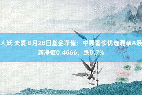 人妖 夫妻 8月28日基金净值：中原奢侈优选混杂A最新净值0.4666，跌0.7%