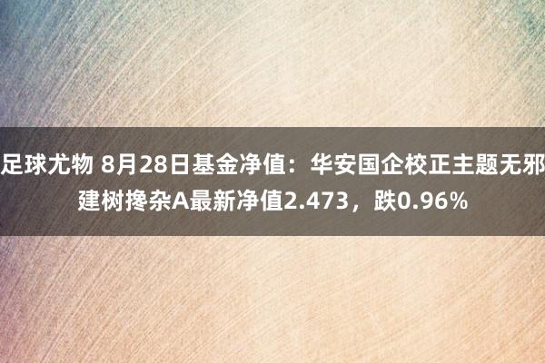 足球尤物 8月28日基金净值：华安国企校正主题无邪建树搀杂A最新净值2.473，跌0.96%