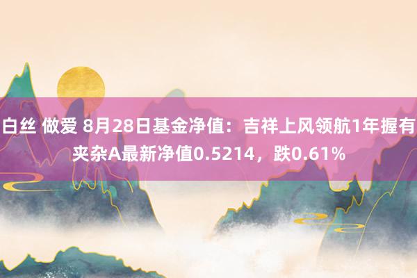 白丝 做爱 8月28日基金净值：吉祥上风领航1年握有夹杂A最新净值0.5214，跌0.61%