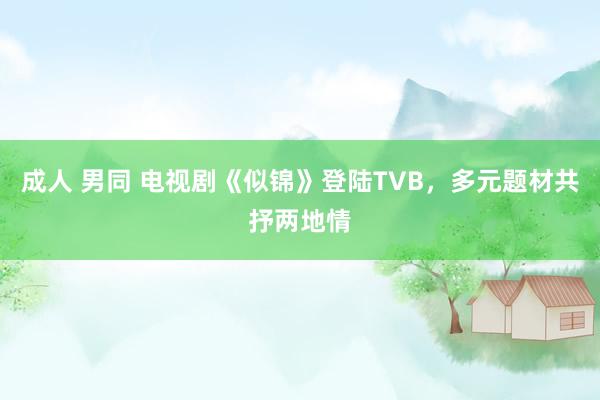 成人 男同 电视剧《似锦》登陆TVB，多元题材共抒两地情