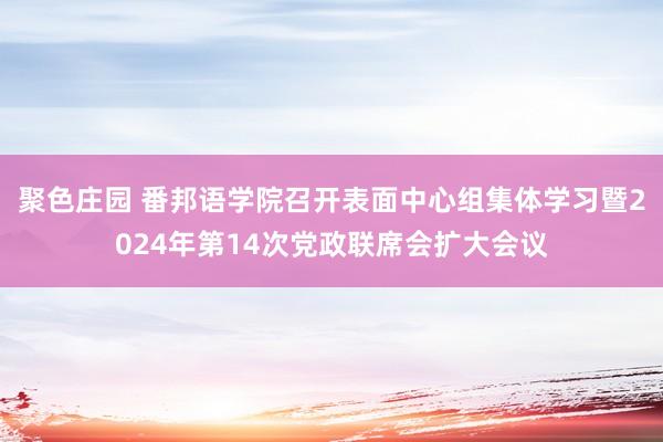 聚色庄园 番邦语学院召开表面中心组集体学习暨2024年第14次党政联席会扩大会议