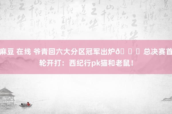 麻豆 在线 爷青回六大分区冠军出炉🎉总决赛首轮开打：西纪行pk猫和老鼠！