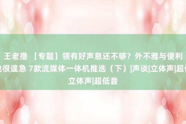 王老撸 【专题】领有好声息还不够？外不雅与便利性也很遑急 7款流媒体一体机推选（下）|声谈|立体声|超低音