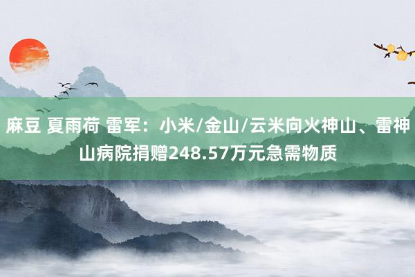 麻豆 夏雨荷 雷军：小米/金山/云米向火神山、雷神山病院捐赠248.57万元急需物质