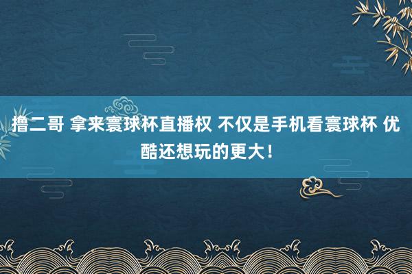 撸二哥 拿来寰球杯直播权 不仅是手机看寰球杯 优酷还想玩的更大！