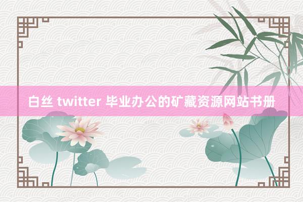 白丝 twitter 毕业办公的矿藏资源网站书册